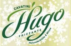 Cavatini Hugo