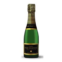 Ventura Tresor Brut Cava Mini, 11.5%, 0.02L